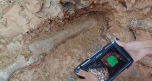 Denizli’deki kazılarda kazmayı vurdukça fosil fışkırdı, 9 milyon yıllık 27 tür bulundu