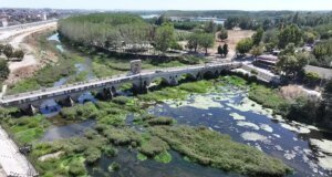 Edirne’de kuraklık alarmı! Tunca Nehri’ni otlar kapladı