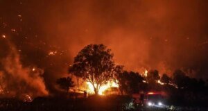 İki gündür yangınla boğuşan Çanakkale’den sevindiren haber
