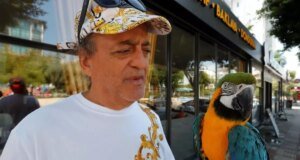 Kaybolan Turgut Özal’ın papağanından haber var