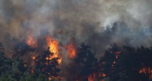 Orman yangını kabusu! Dört kentten alevler yükseldi