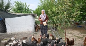 Osimhen Teyze, Nijeryalı Golcünün Galatasaray’a Dönüşüne Sevindi