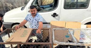 Tilki İle İşçi Arasındaki Eğlenceli Diyalog