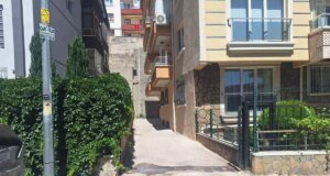 Polis memuru sokak köpeğini vurarak öldürdü