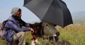 Şap hastalığının pençesinde kıvranan Ardahan’da çaresizliğin fotoğrafı