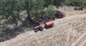 Besiciler, meralardaki hayvanlarına tankerlerle su taşıyor