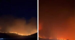 Türkiye’nin yangın kabusu sürüyor! Çok sayıda kentten alevler yükseldi