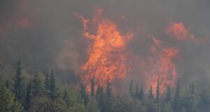 Çanakkale ve İzmir’deki orman yangınları kontrol altında