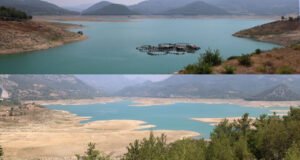 Çukurova’da kuraklık alarmı! Bahçeler kuruyor: 400 bin tonluk narenciye üretimi tehlikede