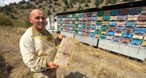 Mobil tır ile bal üretiyor, kovanları karış karış gezdiriyor