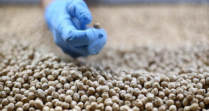 Türk hububat sektörünün 8 aylık ihracatı 8 milyar doları aştı